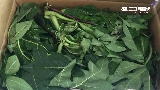 新詐騙手法？付錢收包裹竟是一堆葉子