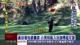 熊鬧高球場1700