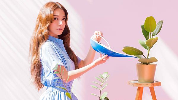 舞台劇門票秒殺　田馥甄：請原諒我