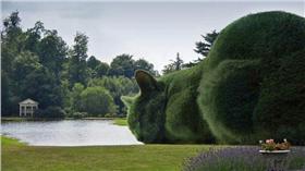 灌木叢,喵星人,圖／BBC