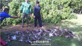 猴子@泰國星暹傳媒