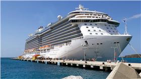 公主遊輪。（圖／翻攝自公主遊輪臉書）