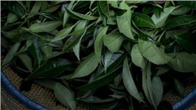 文創LIFE - 一口茶