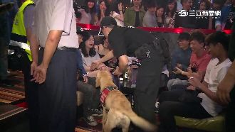 北市封城掃毒　夜店妹直誇緝毒犬可愛