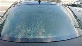 民眾衝台灣民政府抗議  警帶回6人偵訊