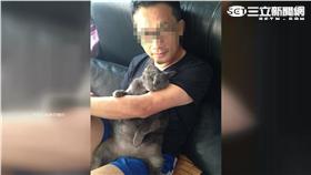 防大學教官遭控虐貓