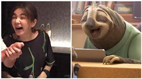 Ella,陳嘉樺,動物方城市,樹懶,圖／合成圖／翻攝自Ella臉書、YouTube