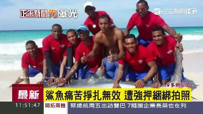 救生員拖鯊魚上岸　「合影留念」害命
