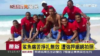 救生員拖鯊魚上岸　「合影留念」害命