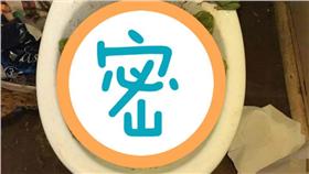 青蛙,馬桶,樹蛙（圖／翻攝自爆料公社臉書粉絲專頁）
https://www.facebook.com/162608724089621/photos/a.162626540754506.1073741828.162608724089621/289907061359786/?type=3&theater
