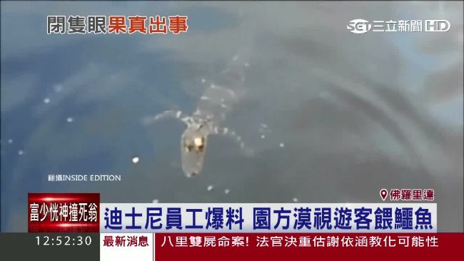 鱷魚出沒已7年　美迪士尼安全現漏洞