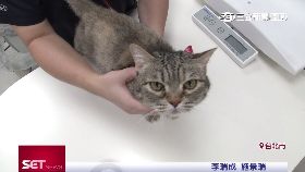 左岸動物19E1921 091117