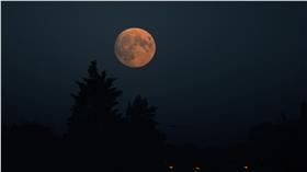 滿月,月亮／路透社