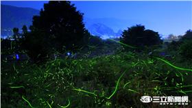 ▲草上銀河　探尋日本六大夢幻賞螢地（圖／樂天旅遊）