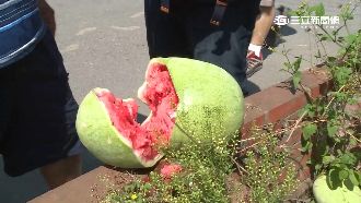 偷4顆西瓜辯友送　賊：想試試甜不甜