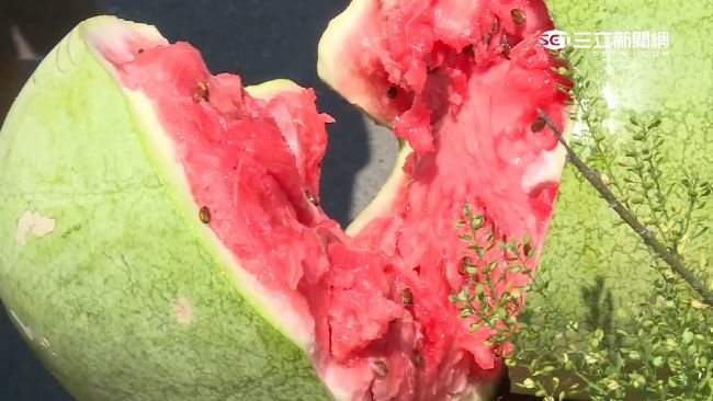 食物掉地上5秒內能吃？美國研究打臉
