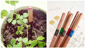 植栽鉛筆（合成圖／翻攝自文房具カフェ官網、臉書）
