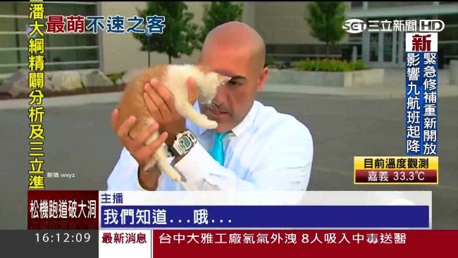 比人還搶鏡！超萌貓咪亂入記者連線