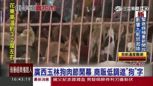 廣西堅持習俗　遮「狗」字繼續辦活動