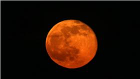 夏至迎草莓月亮（2）
21日是二十四節氣中的夏至，氣象專家彭啟明說，21日
也恰逢月圓，而夏至剛好遇上月圓是很難的事情，歐美
的日曆上稱為草莓月亮，下次出現要再等上46年。
中央社記者吳家昇攝 105年6月21日