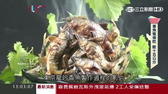 台灣香魚新突破　首躍米其林三星餐盤