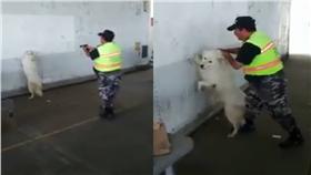 狗,嫌犯,演戲/FB：爆料公社