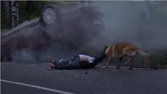 主人棄養後出車禍　愛犬反救他一命