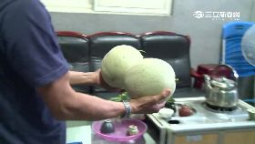 熱偷哈密瓜g1200