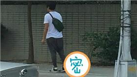 烏龜、寵物、遛烏龜（圖／翻攝自爆料公社https://www.facebook.com/groups/451357468329757/permalink/928718713926961/）