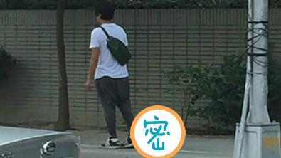 遛貓狗不夠潮！他的寵物讓網友都驚呆