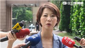 民進黨立委陳亭妃。（圖／記者盧素梅）