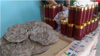 甘草粉誆靈芝粉賣　罹病老人遭騙險死