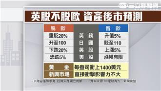 6月24日英脫歐公投　股匯一手解讀