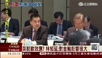 穩華南林家勢力　華南副董派子等接班