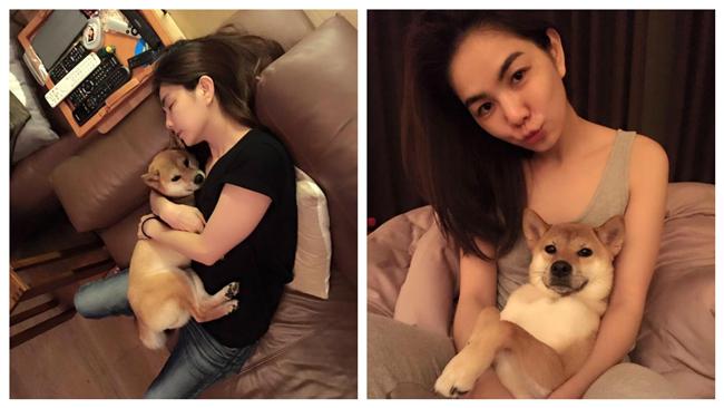 Ella累癱在沙發　愛犬躺那好尷尬