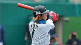 陽岱鋼（北海道火腿鬥士粉絲團）