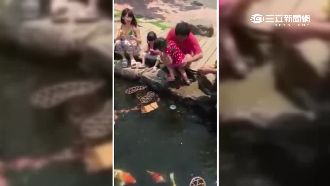 小女童餵魚卻落水　老爸神反應救援