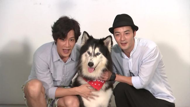 《狼王子》狼爸現身　聰明反應嚇壞人