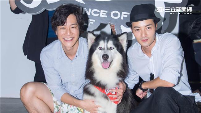 超萌！15隻哈士奇壯觀挺《狼王子》