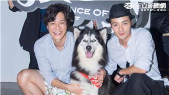 超萌！15隻哈士奇壯觀挺《狼王子》