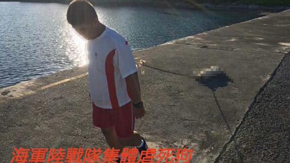 曾把小白當家人！他爆：國軍殺好幾隻