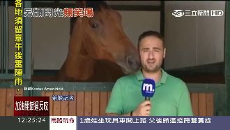 馬兒又舔又咬還吹氣　男記者臉紅心跳