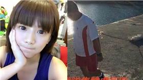 解婕翎批國軍虐狗合成圖／臉書、YOUTUBE