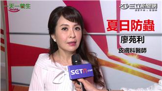 小心蟲蟲危機！隱翅蟲可能使皮膚潰爛