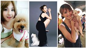 郭靜,李毓芬,阿喜　圖／翻攝自臉書