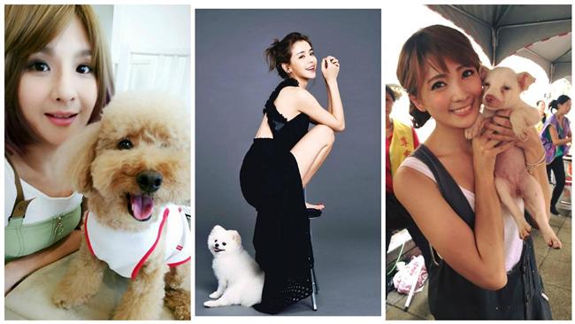 藝人同聲齊罵虐狗軍人：你們還是人嗎