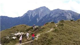 太魯閣國家公園奇萊北峰（圖後方高山），海拔約3200
公尺山區傳出師大助理教授賴俊祥失足墜谷，生死未卜
，救難人員獲報已集結上山搜救，28日上午將出動空勤
救援。（圖／中央社）