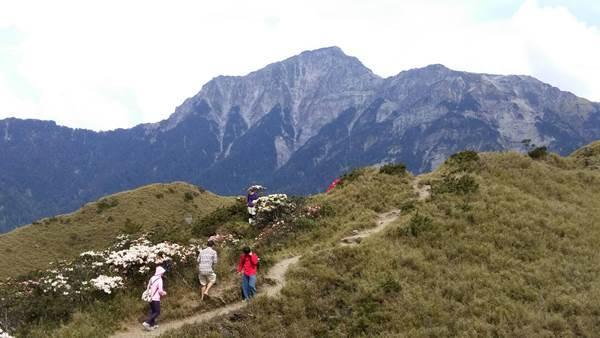 登奇萊北峰　師大助教驚傳墜谷