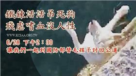 國軍虐殺流浪犬　民間人士穿白衣到國防部討公道