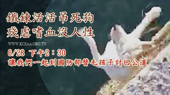 直播／替毛孩討公道　民眾聚集國防部